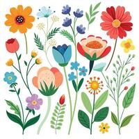 Collection of Summer flower branches drawing vector