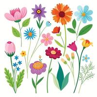 Collection of Summer flower branches drawing vector
