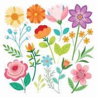 Collection of Summer flower branches drawing vector