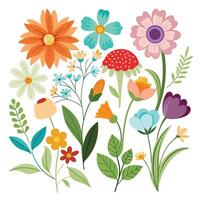 Collection of Summer flower branches drawing vector