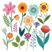 Collection of Summer flower branches drawing vector
