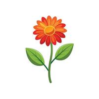 Summer season simple Flower with two green leaf vector