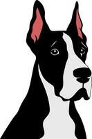 Great Dane Portrait vector