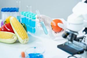 Scientist check chemical food residues in laboratory. Control experts inspect quality of fruits, vegetables. lab, hazards, ROHs, find prohibited substances, contaminate, Microscope, Microbiologist photo