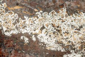 macro mineral bismuth stone on hartenstein schacht on white background photo