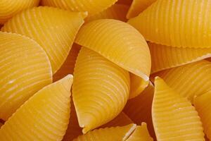 Pasta products in the form of a shell, texture photo