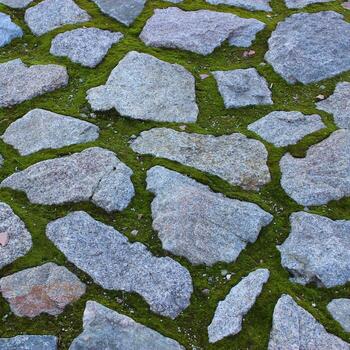 Granite stones pressed in moss in an ancient basement texture background. Square stone background stock photo