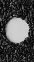 Pattern Of Even Layer Sunflower Seeds With Clean Round Sector Stock Photo For Vertical Story