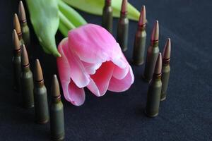 Bullets Stand In A Line Around Single Blooming Tulip On Black Background photo