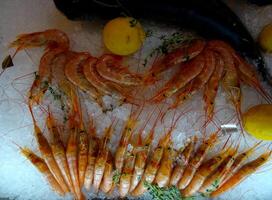 Prawns And Fish Served On Crushed Ice photo