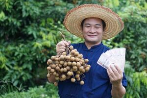 Happy Asian man gardener , holds bunch of longan fruits and Thai banknote money in garden. Concept, Agricultural crops, Ecocomic and export fruits. Gardener sells longans. photo