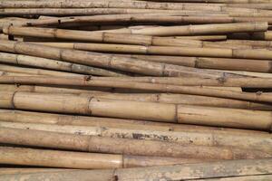 Close-up of dried bamboo stalks in a section. Texture, background. photo