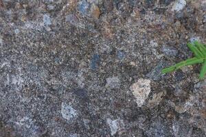 natural aged broken brick and cement wall photo