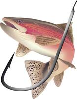 salmon trout freshwater fish fish with angler's hook vector