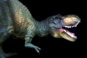 Tyrannosaurus dinosaurs toy on white background photo