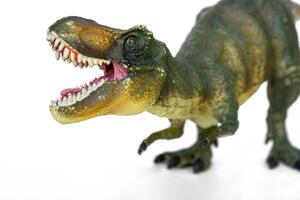 Tyrannosaurus dinosaurs toy on white background photo