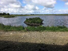 A view of Ducks at Martin Mere photo