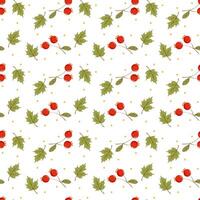 a pattern with red berries and leaves vector