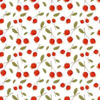 autumn seamless pattern with red currant berries vector