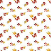 a pattern with red berries and leaves vector