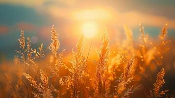 Beautiful floral background photo