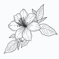jasmine flower, showcasing intricate details and delicate elegance. Ideal for nature-inspired and timeless design projects. vector