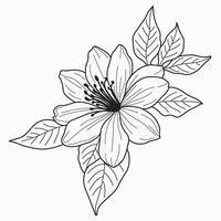 jasmine flower, showcasing intricate details and delicate elegance. Ideal for nature-inspired and timeless design projects. vector
