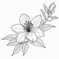 jasmine flower, showcasing intricate details and delicate elegance. Ideal for nature-inspired and timeless design projects. vector