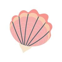 seashell with intricate details, on a white background vector