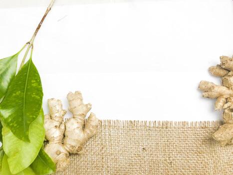 Ginger root isolated on burlap fabric background.Ideal for use in health, culinary and content , Background template photo