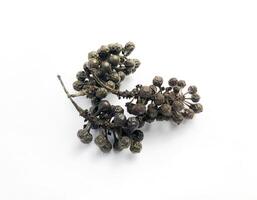 Handful of dried cubeb pepper closeup on white photo