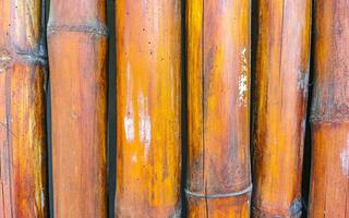 Bamboo Wood Wall and Gate Texture in Puerto Escondido Mexico. photo