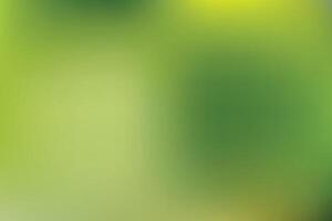 Tranquil Green Gradient From Fresh Spring to Summer Glow vector