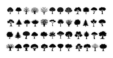 A Set of Tree Silhouettes vector