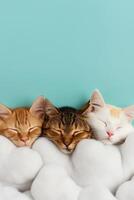 Pet animals snoozing on enchanted cloud beds background with empty space for text photo