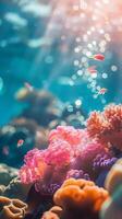 Colorful coral and fish in a tropical ocean photo