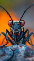 Close-up view of a beetle with bright red eyes photo