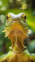 A close-up portrait of a green lizard with bright eyes photo