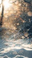 Snowflakes fall through a sunlit forest photo