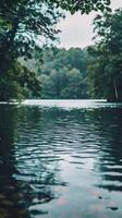 Calm lake surrounded by green trees photo