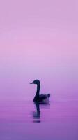 A goose swims in a tranquil lake at dawn photo