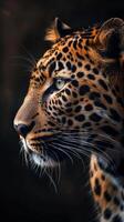 A regal leopard stares intently, its sharp gaze piercing the darkness photo