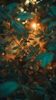 Sunlight shines through foliage creating a warm glow photo