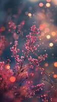 Pink flowers bloom against a backdrop of warm, blurry lights photo
