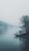 A calm, misty river with a solitary tree silhouetted on the bank photo