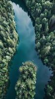 A river winds through dense, green trees photo
