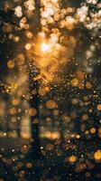 Sun shines through leaves, creating golden bokeh photo
