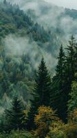 A lush forest shrouded in mist, with towering trees and golden leaves photo