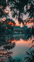 Dark silhouettes of branches frame a tranquil sunset over a lake photo