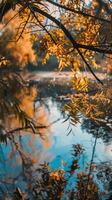Autumn leaves reflect in still lake water photo